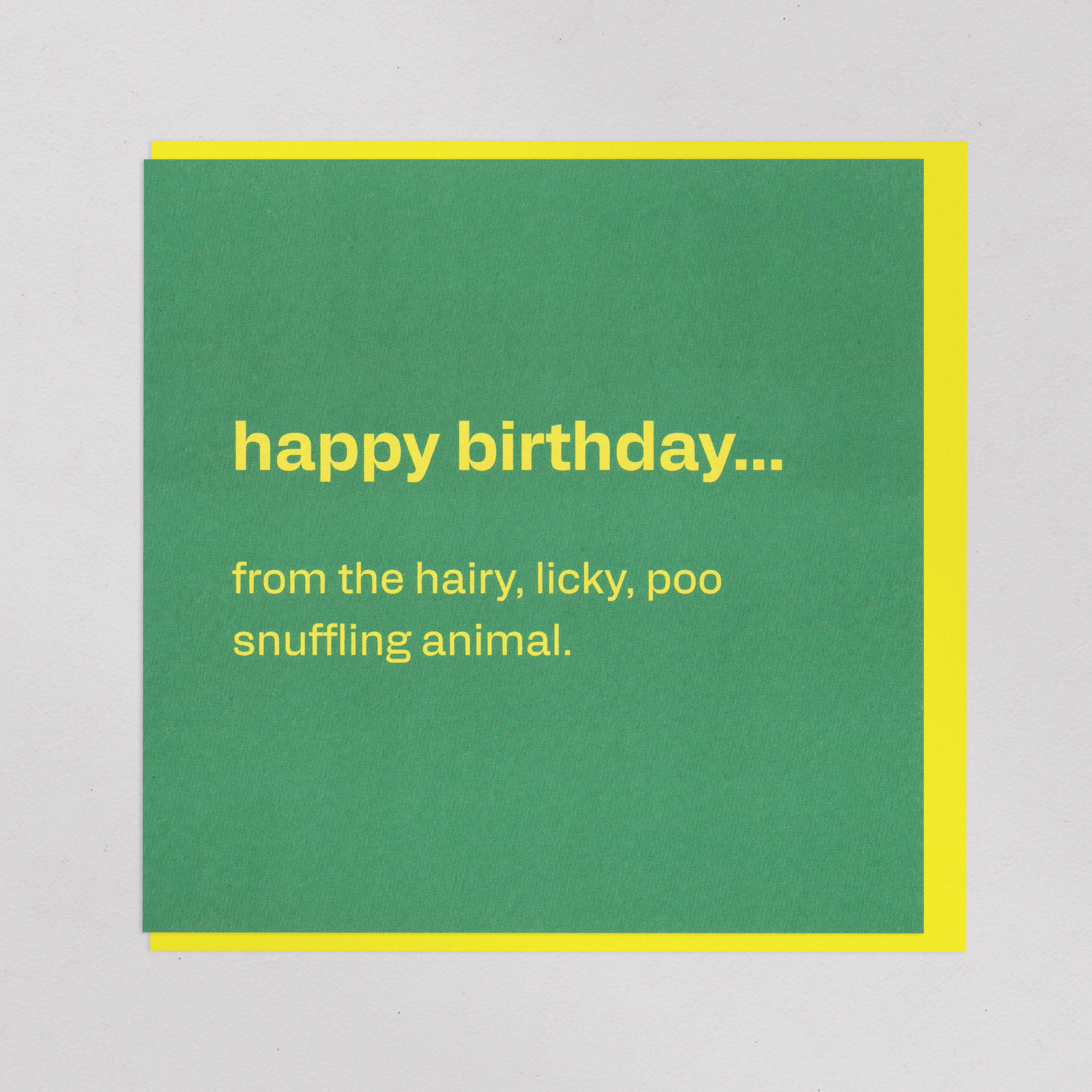 Happy Birthday from the Dog - Funny Pet Card, the front of the card, photographed straight on.