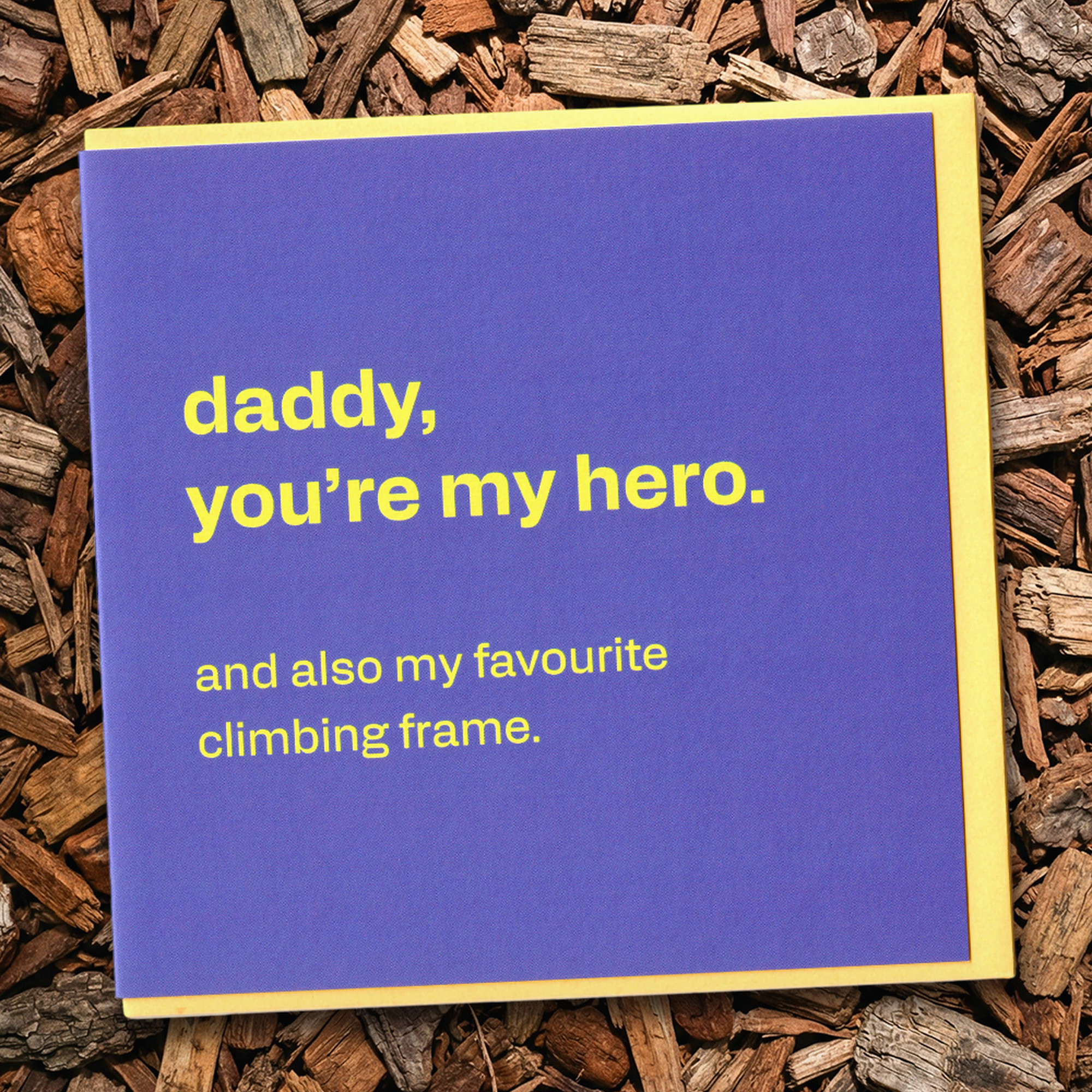 Hero and Climbing Frame - Funny Card for Dad, in a real setting.
