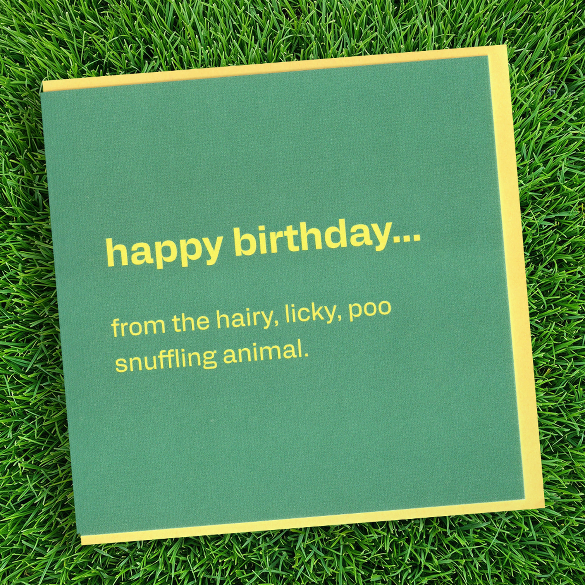 Happy Birthday from the Dog - Funny Pet Card, in a real setting.